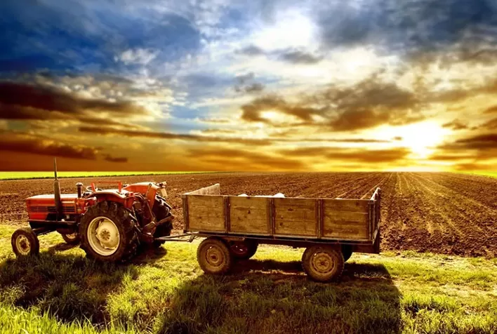 Fraqueza da economia chinesa interfere no agronegócio brasileiro