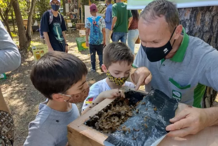 Visitantes poderão conhecer 15 diferentes espécies de abelhas sem ferrão na Expointer