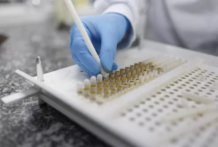 Nova tecnologia revoluciona uso da própolis como ingrediente industrial