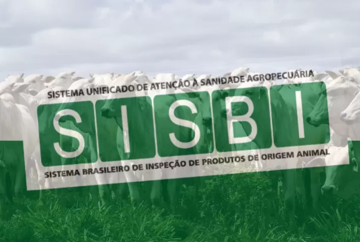 Paraná é o quarto estado a conquistar adesão ao Sisbi-PEC