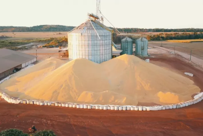 Imea indica fim da colheita do milho no Mato Grosso e destaca preço do milho 22% menor do que o custo de produção