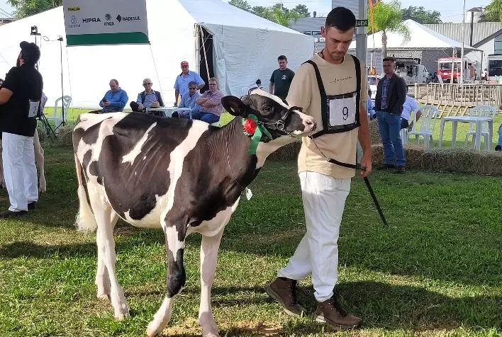 Cotribá terá novidades na Expointer para associados e visitantes