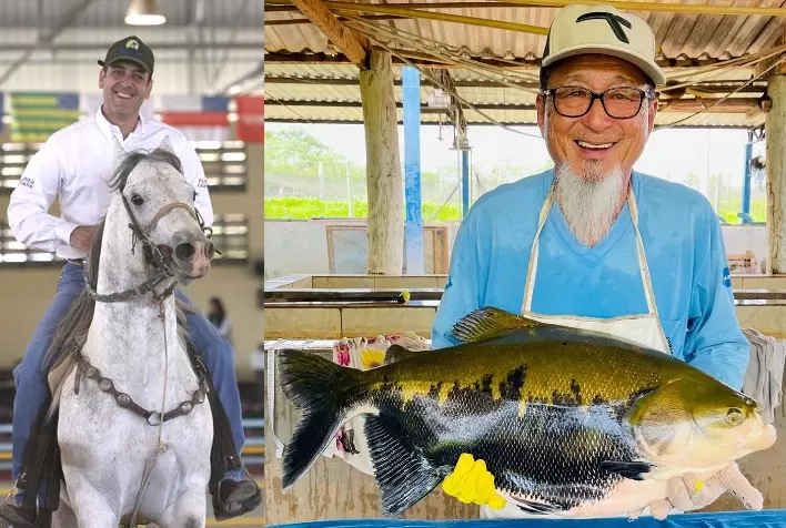 Soluções integradas de manejo e nutrição garantem ganhos a criadores de animais