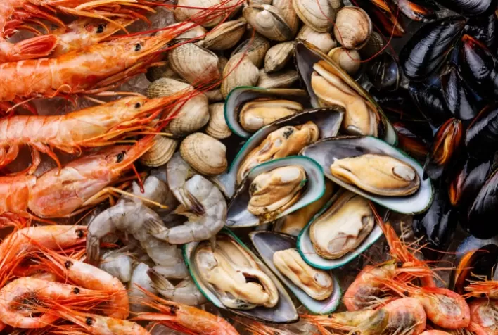 Abertura de mercado de Singapura para crustáceos e moluscos congelados brasileiros
