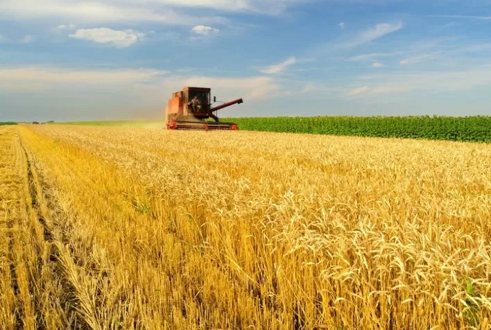 Plano Safra tem R$5,1 bi adicionais para agronegócio e agricultura familiar