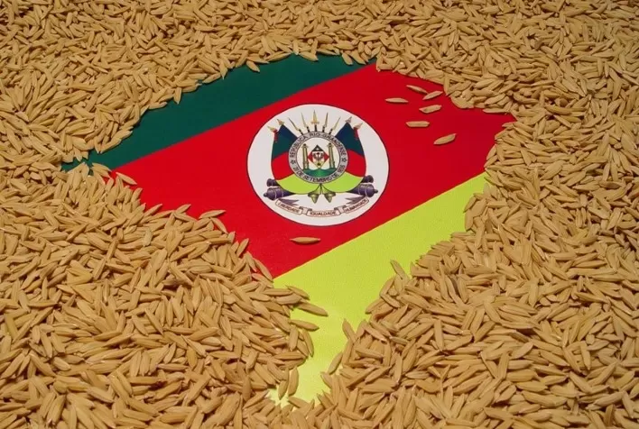 Preços gaúchos do arroz sobem quase 12% em agosto e mercado espera até onde podem chegar