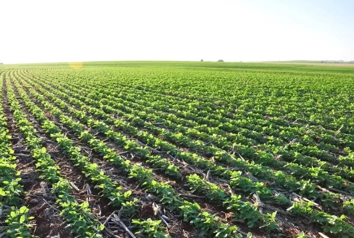 Programa Reverte, iniciativa que visa recuperar solos degradados, alcança o marco de R＄ 500 milhões em créditos liberados aos agricultores