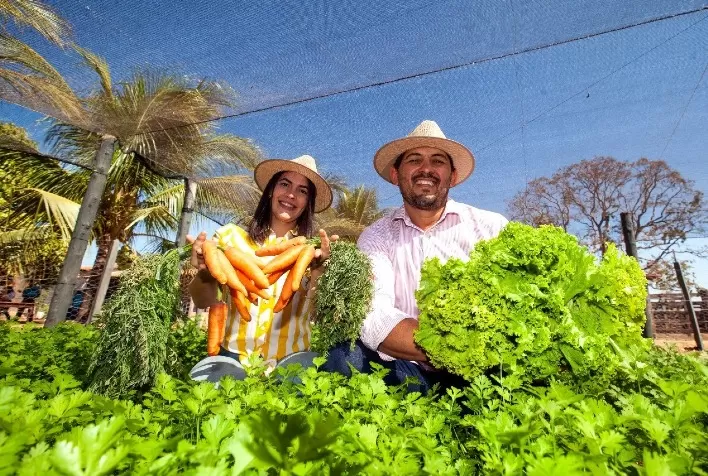 Sorriso destinará mais de R$ 130 mil em ampliação a programa na agricultura familiar