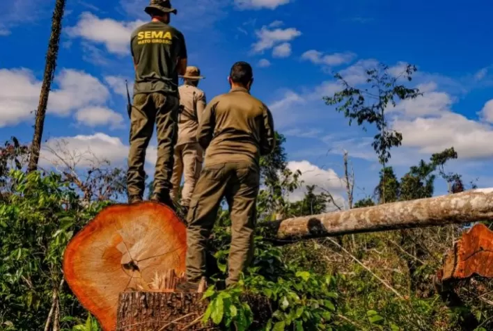 Multa por infração ambiental pode chegar a R＄ 5 bilhões para situações de desastre