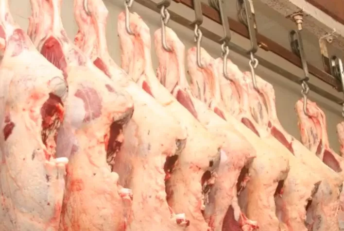 Índia deve produzir 4,555 milhões de toneladas de carne bovina em 2024 – USDA