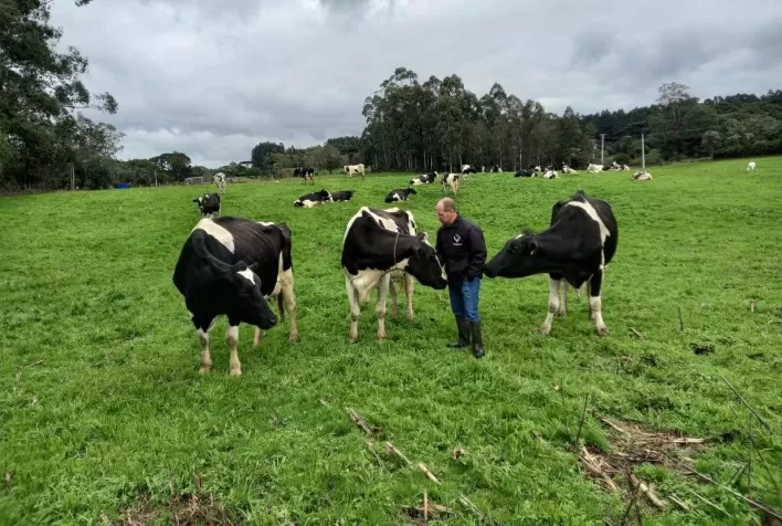 Enchentes agravam situação do setor leiteiro no Rio Grande do Sul