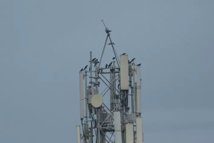 5g se prepara para revigorar agricultura no Brasil, que outros setores podem se beneficiar?