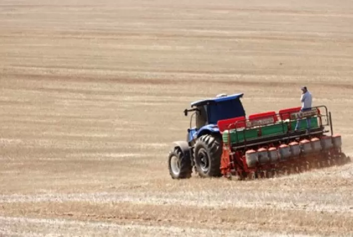 CONJUNTURA AGROPECUÁRIA: Após vazio sanitário, plantio de soja já começou no Paraná; colheita do milho está no fim