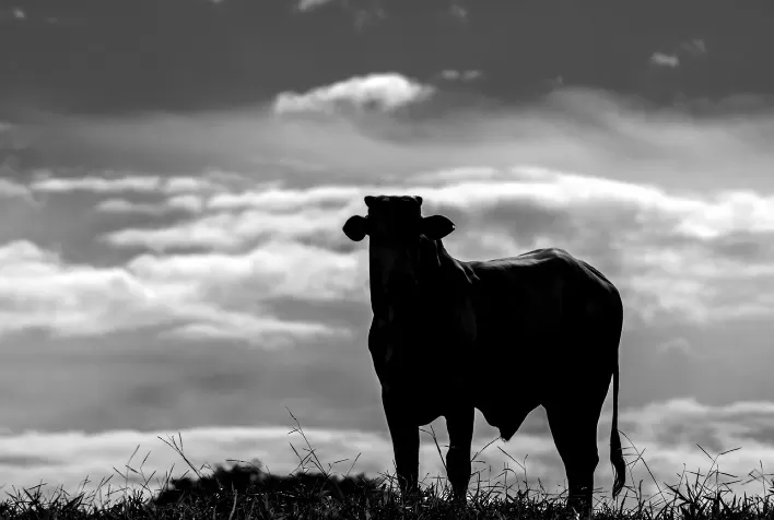 Sua fazenda está preparada para o clima de transição?