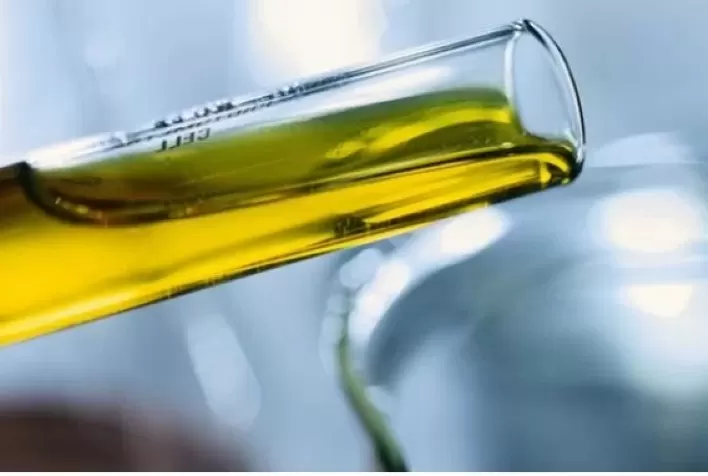 Biocombustíveis podem reduzir consumo de 30 bilhões de litros de diesel até 2030