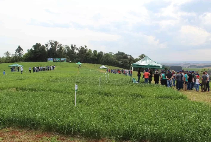 Dia de Campo em Xanxerê supera as expectativas em qualidade e participação dos produtores