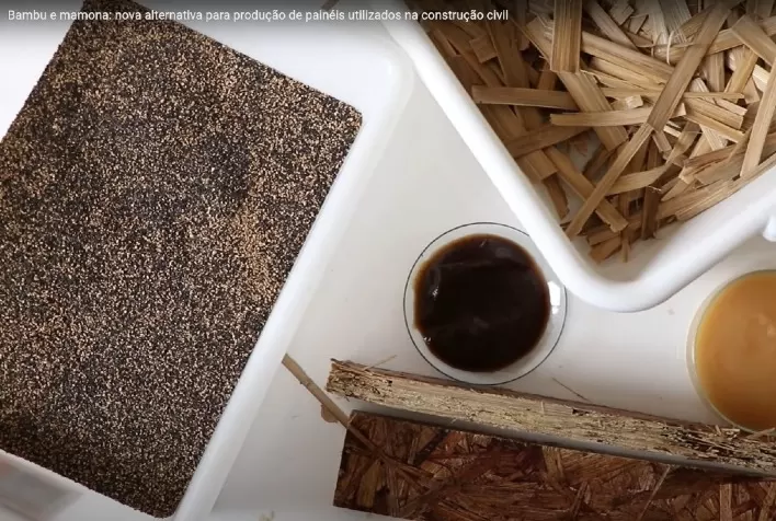 Bambu e mamona: nova alternativa para produção de painéis utilizados na construção civil