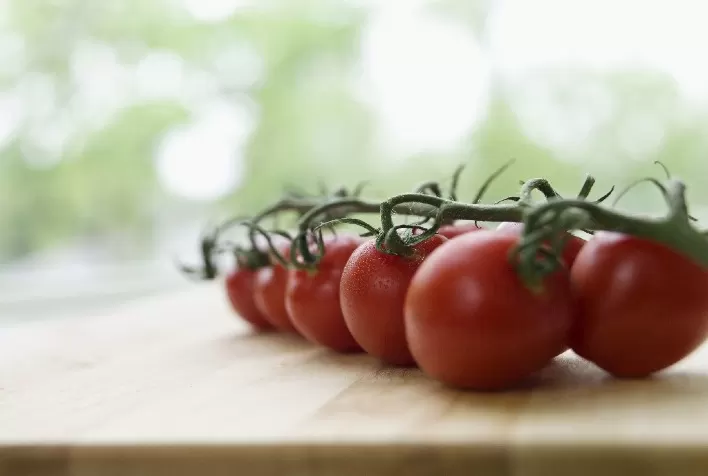 Pomarola reforça a importância da rastreabilidade no portfólio de tomates da Cargill