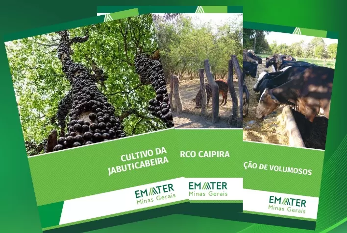 Livraria Virtual da Emater-MG disponibiliza mais de 130 publicações técnicas para consulta gratuita