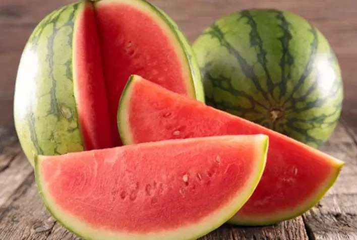 Melancia: chuvas intensas preocupam produtores no RS