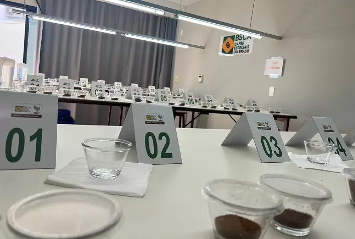 Cup of Excellence: 150 produtores disputam título de melhor café especial do Brasil