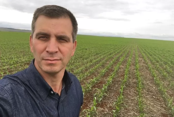 Lagartas: Estudos em nível de campo revelam desempenho superior de inseticida sobre Spodoptera frugiperda no milho