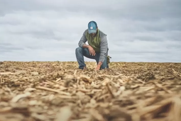 Mais de 70% dos agricultores já observaram impactos das mudanças climáticas em suas fazendas, revela pesquisa global em 8 países