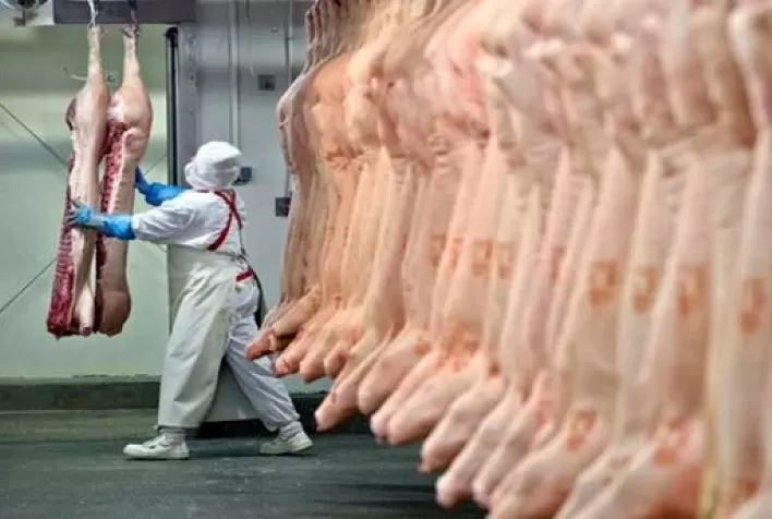 Exportação preliminar de carne suína atingiu 98,5 mil toneladas em setembro
