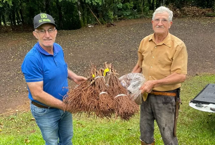 Produtores de uva e vinho de Coronel Martins recebem mais de 800 mudas de videira