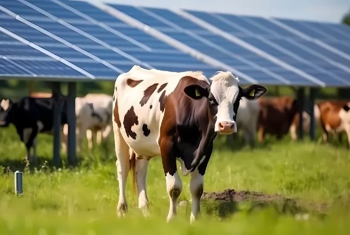 Brasil ultrapassa o número de 64 mil sistemas de energia solar no setor rural