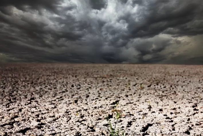 Seguro Agrícola cresce mais de 265 vezes em 18 anos