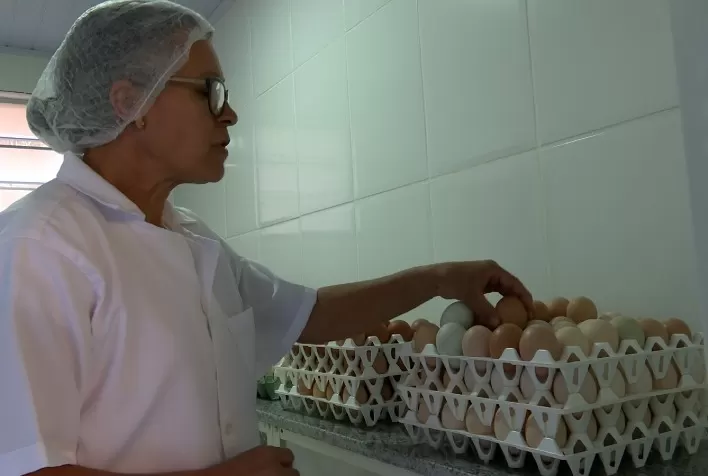 Ovos coloridos enriquecem a merenda escolar em Rio Piracicaba