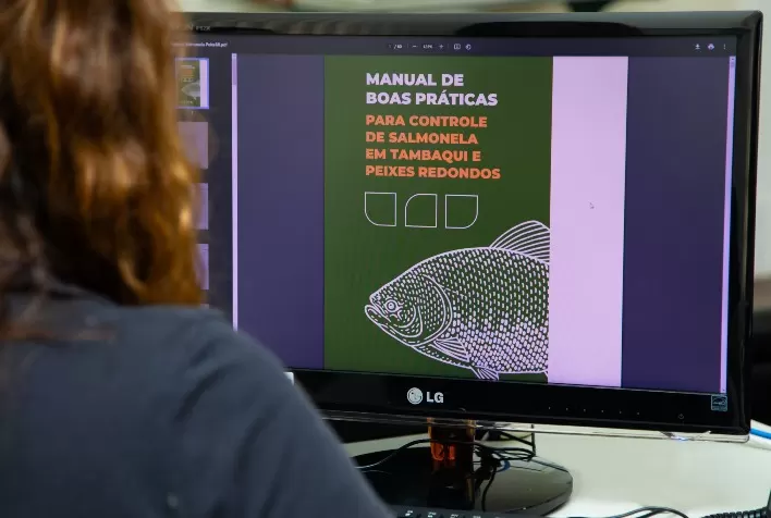 Manual propõe soluções para controle de salmonela em Tambaqui