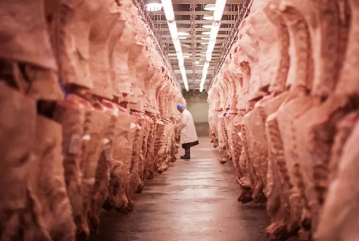 Exportação parcial de carne bovina até a segunda semana projeta novo incremento para outubro