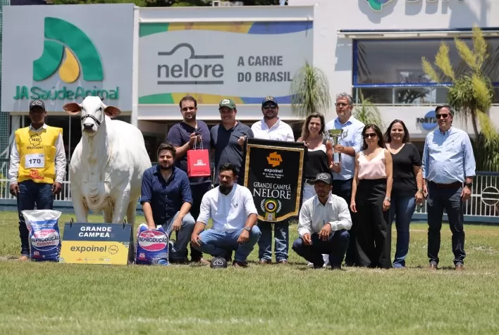Casa Branca faz a Grande Campeã e é Melhor Expositor Nelore da Expoinel