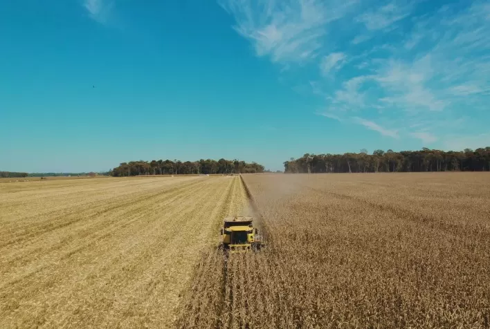 Websérie “Rota da Colheita KWS” traz a experiência com os híbridos KWS pela voz dos agricultores