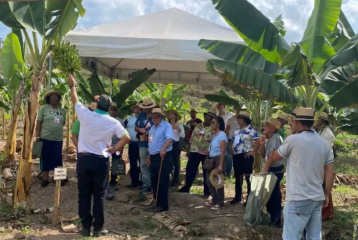 Emater-MG estimula a implantação de pomares na região de Itabira