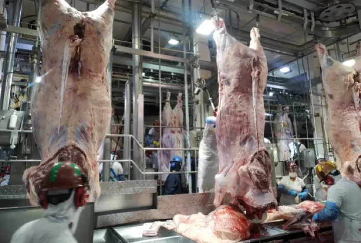 Mato Grosso se mantém maior produtor de carne no país e estabelece novo recorde