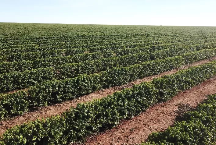 Avanço na redução de carbono é tema do próximo episódio do XVI Seminário de Políticas Públicas para o Setor Rural