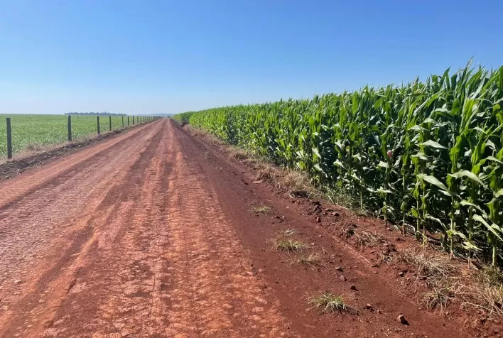 Tecnologia amplia produtividade da safrinha de milho em 10,6 sacos por hectare
