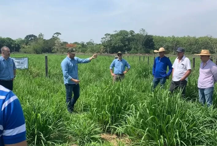 Centro-Oeste recebe trabalho de aprimoramento da pecuária de corte sustentável