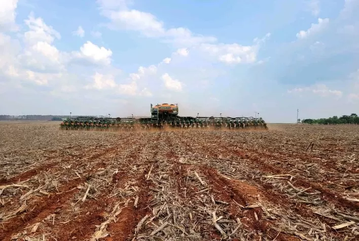 Cultivo da soja em mato grosso é afetado pela irregularidade das chuvas