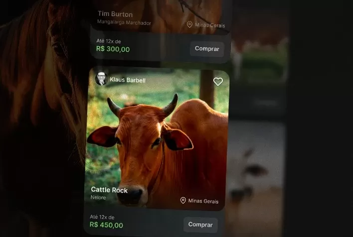 Pecuaristas ganham nova ferramenta para aquisição de animais