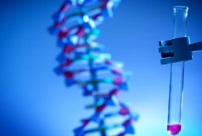 Startup de biotecnologia cria plataforma de edição genômica voltada para a agricultura sustentável