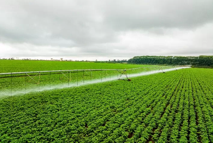 Experts BASF destaca inovações e investimentos na horticultura