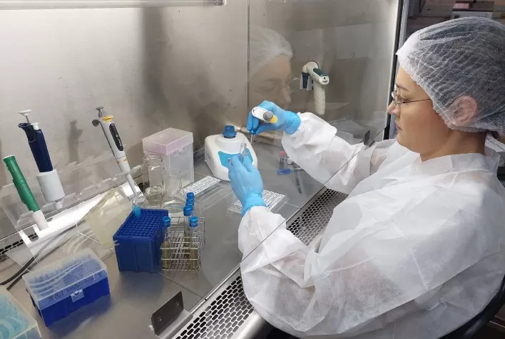 Sistema de Gestão do Laboratório de Qualidade de Alimentos da Agrodefesa é submetido a auditoria interna