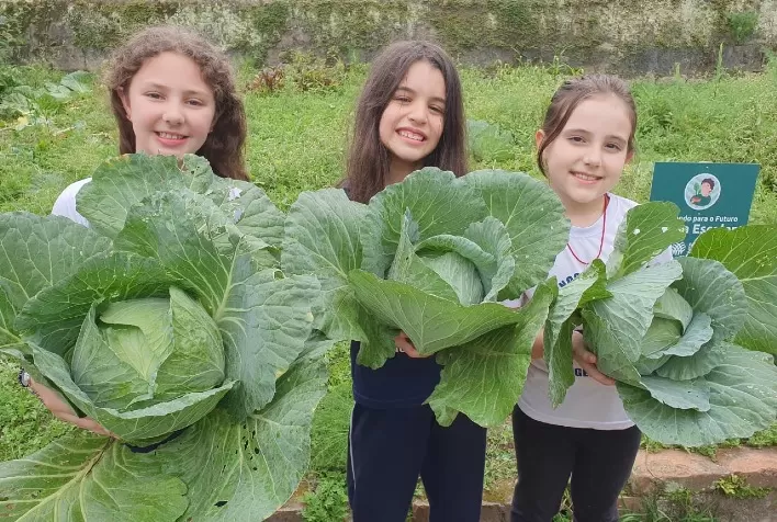 Projeto “PLANTANDO PARA O FUTURO” rende bons frutos em Santa Catarina