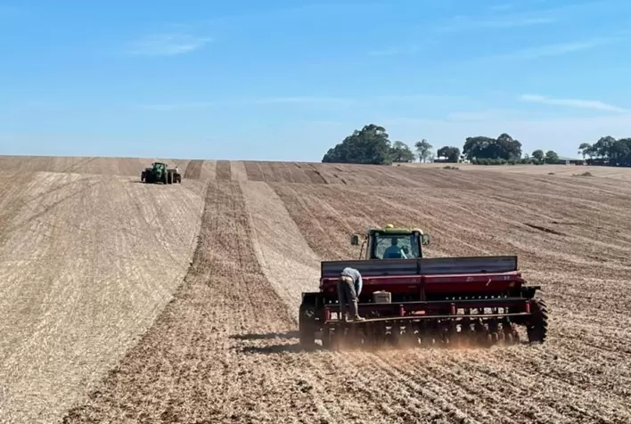 Solo seco deixa produtores da Índia cautelosos no plantio de trigo, apesar da alta de preços