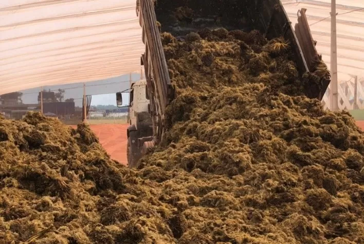 Grupo BBF inova com processo inédito de compostagem em escala para operações industriais sustentáveis no Pará