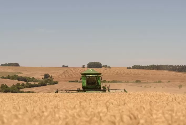 Exportações de trigo dos EUA superam projeções, impulsionadas pela China